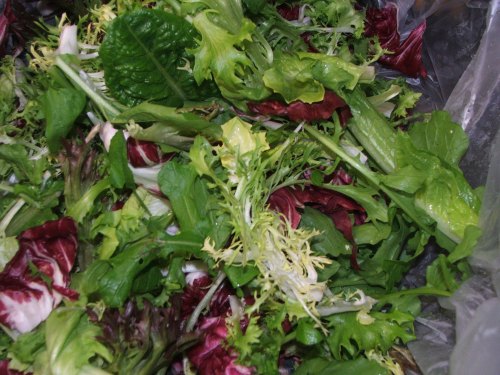 Bathgate Farm bitter green salad mix