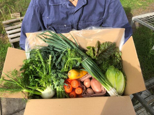 Veg box